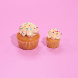 Two freshly baked Vegan Vanilla Cupcakes with plant-based icing and rainbow sprinkles on a pink background by Crumbs & Doilies.